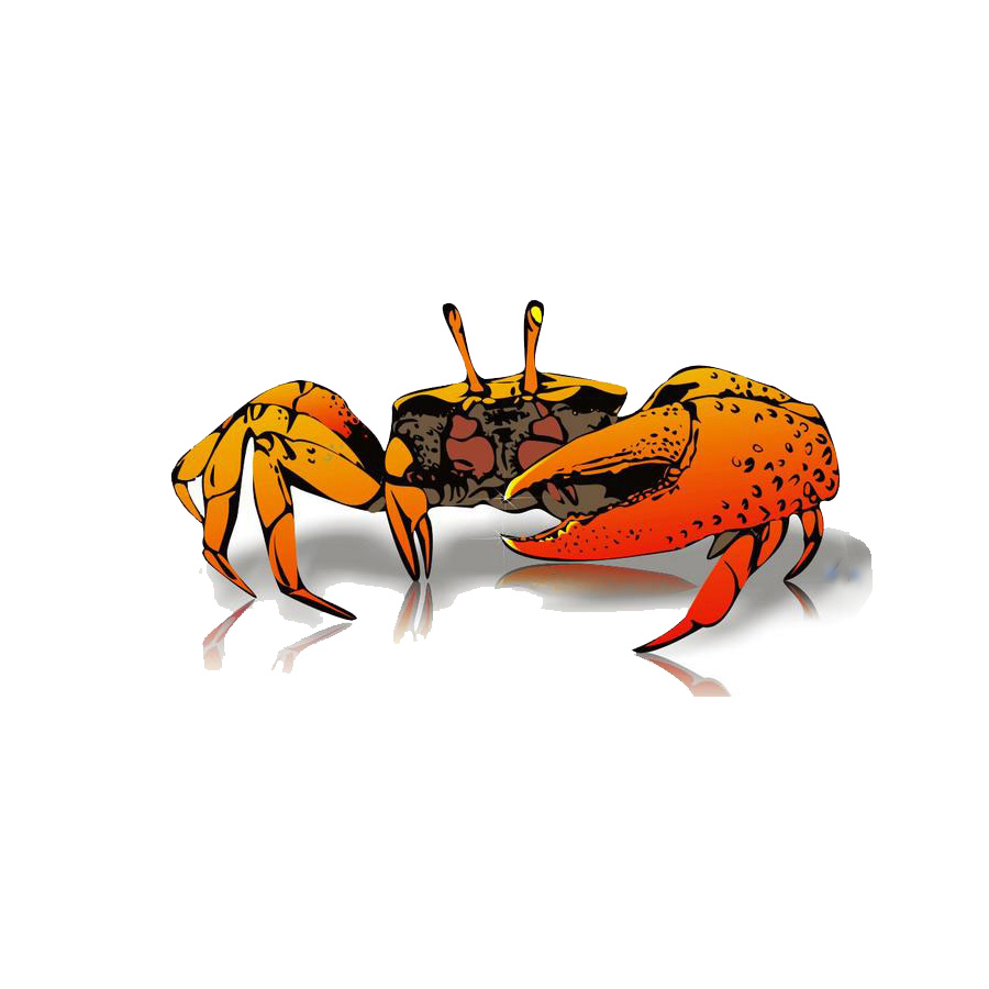 互聯(lián)網(wǎng)+養(yǎng)老產(chǎn)業(yè)，競(jìng)網(wǎng)建站剝蟹有何招？