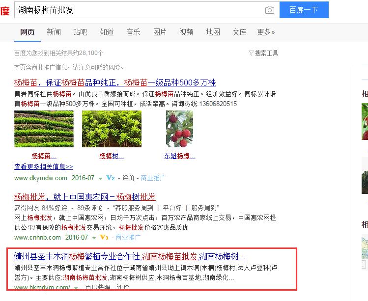 這樣做seo，靖州楊梅網(wǎng)站排名有盼頭