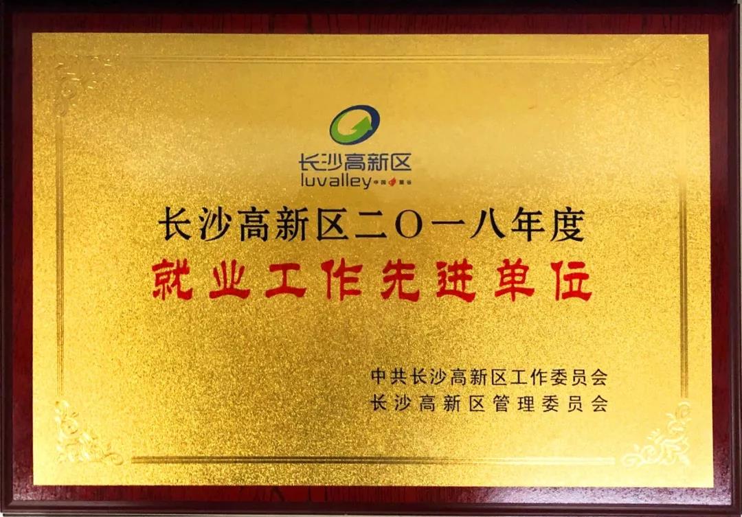 競(jìng)網(wǎng)獲長沙高新區(qū)2018年度“就業(yè)工作先進(jìn)單位”稱號(hào)！